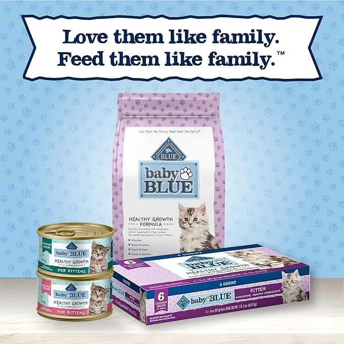 Blue Buffalo Baby Blue Natural Grain-Free Wet Food for Kittens, Healthy Growth Formula with DHA, High-Protein Salmon Paté, 3 oz Can