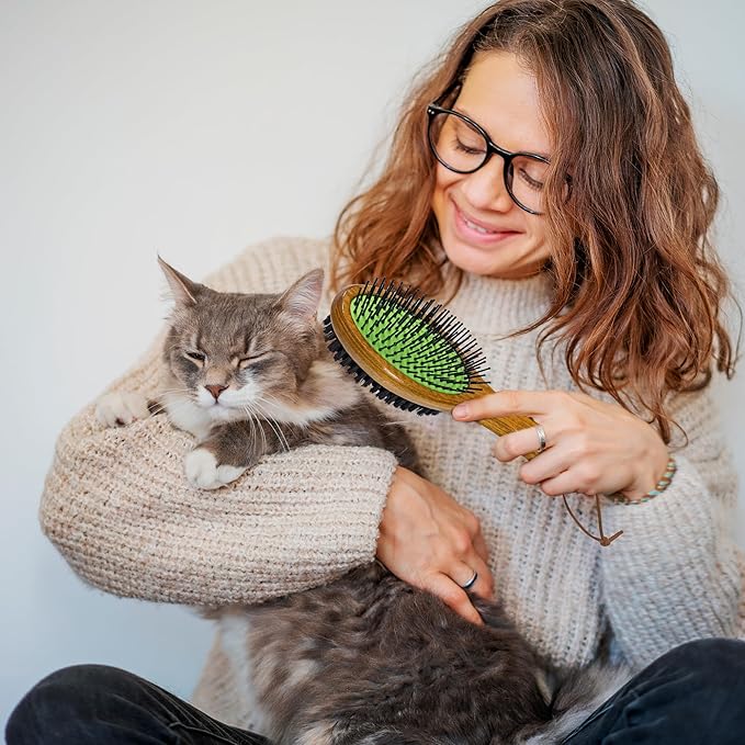 TAKAVU Dog Cat Detangling Brush, Two-Sided Pin & Boar Bristle Grooming Brush for Removing Loose Hair Dirt and Promoting Healthy Coat, De-shedding Pet Supplies Comb, Detangler Brush for Dogs, Cats