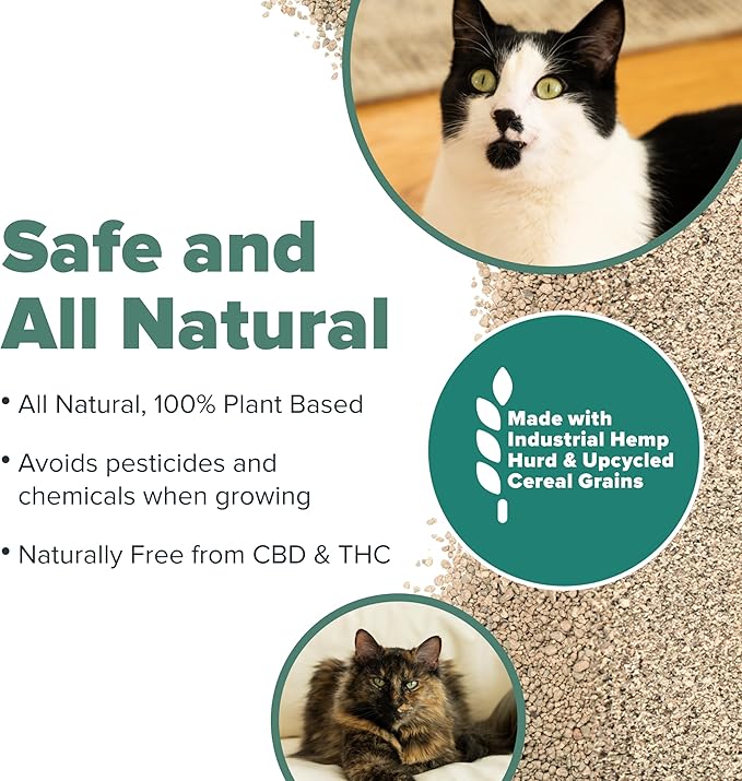 All Walks Plant Based Hemp Kitty Litter | 10 lb Bag | Super Clumping | Fragrance Free Kitty Litter | Odor Control for Cats