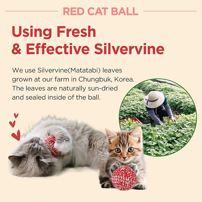 JAYU PET Red Cat Ball - Catnip Inside Cat Toy, Handmade Silvervine Ball Toys, Cat Toys for Indoor Cats, Interactive Matatabi Cat Ball Toy, Feline Kitten Toys, Cat Gifts (2.7 inch)