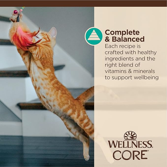 Wellness CORE Tiny Tasters Wet Cat Food, Complete & Balanced Natural Pet Food, Made with Real Meat, 1.75-Ounce Pouch, 12 Pack (Adult Cat, Flaked Tuna & Salmon in Gravy)