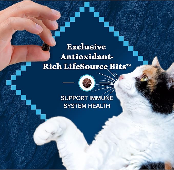 Blue Buffalo Wilderness Natural High Protein Grain Free Salmon Dry Food for Adult Cats 11 lbs.