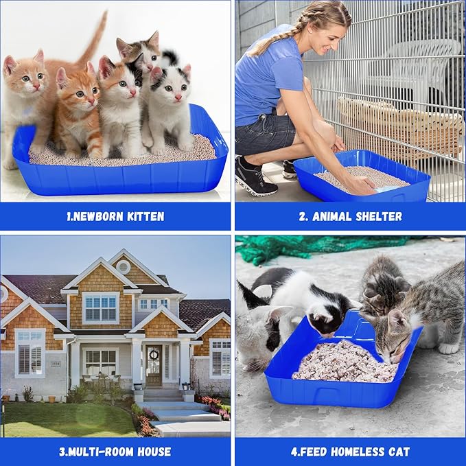 Bokon 25 Pcs Disposable Litter Boxes for Cats Plastic Cat Litter Tray Kitten Litter Pan for Kitty Rabbit Guinea Pig Hamster Pets Supplies Travel Home Toilet, 15.7 x 11.8 x 3 Inches (Royal Blue)