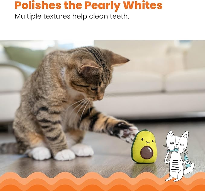 Catstages Lil' Avocato Dental Health Catnip Cat Chew Toy