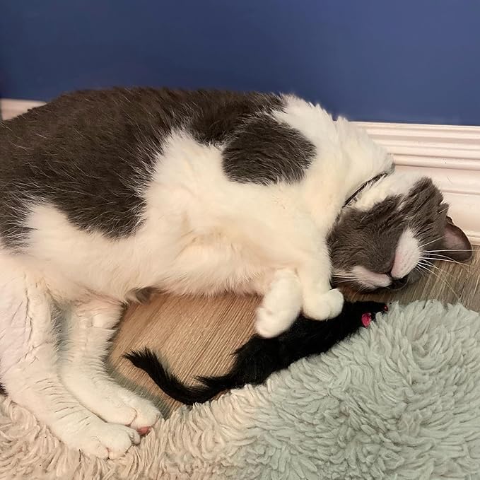 SPOT Ethical Shaggy Plush Ferret with Rattle and Catnip Cat Toy