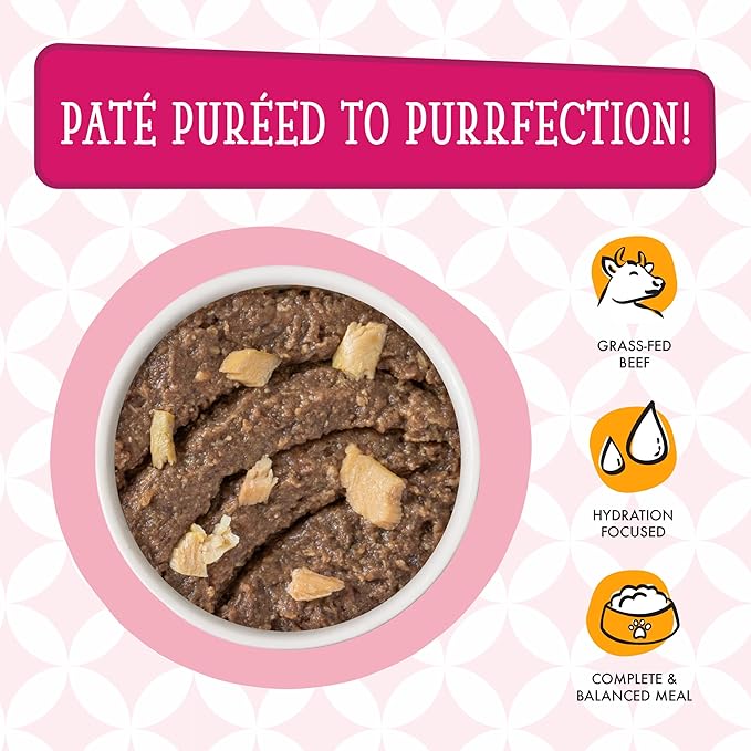 Weruva Cats in The Kitchen Paté, The Karate Kitty with Beef & Salmon, 3oz Pouch (Pack of 12)