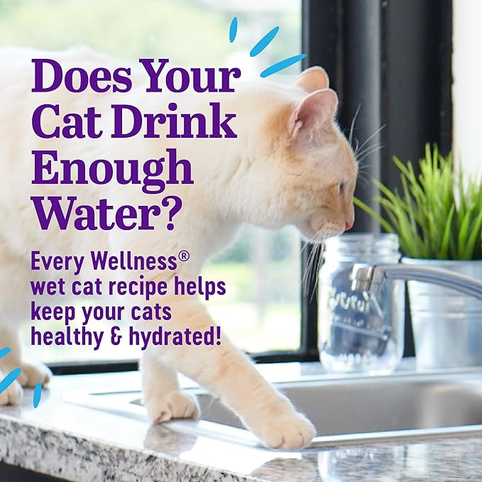 Wellness® Appetizing Entrées™ Mousse Chicken Recipe Infused with Broth Natural Wet Cat Food, 1.4 oz Pouch (Pack of 8)