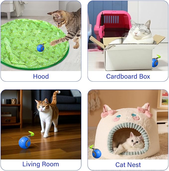 Interactive Cat Ball Toy with Feather, Speedy Tail 2.0 cat Toys, Smart Cat Toys Ball for Indoor Cats, Motion Activated Automatic Cat Toy Ball, USB Rechargeable Cat Toys, Blue