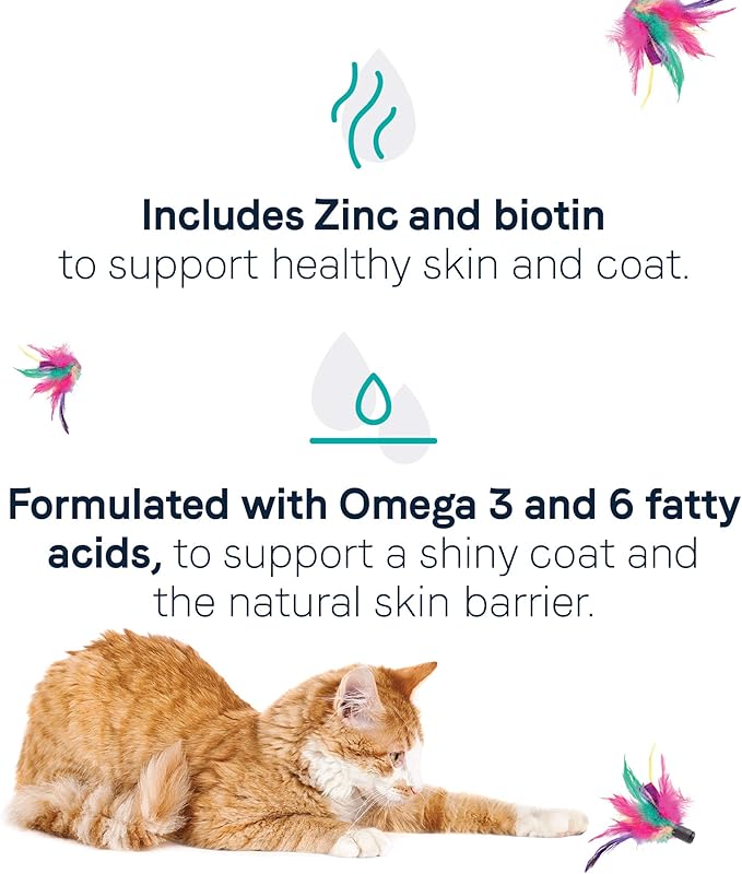 Canidae Goodness for Skin and Coat, Premium Adult Dry Cat Food with Real Salmon, 5 lbs.