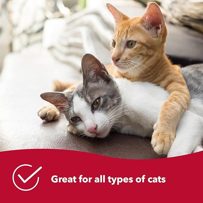 Coastal Pet Turbo Track Cat Toy - Cat Ball Toy & Racetrack - Easy Assembly - Slate Blue (1 Pack)