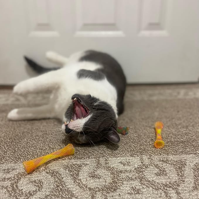 SPOT Ethical Pet Catnip Cat or Kitten Toy, Colorful Fun Tubes. Interactive Bouncy cat Toy, Assorted Color