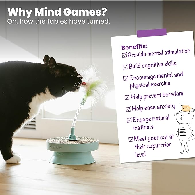 Catstages 2-in-1 Spring Toy Interactive Cat Toy and Topper for Cat Ball Track with Removable Feather Spring Toy and Corrugated Cat Scratcher, Blue