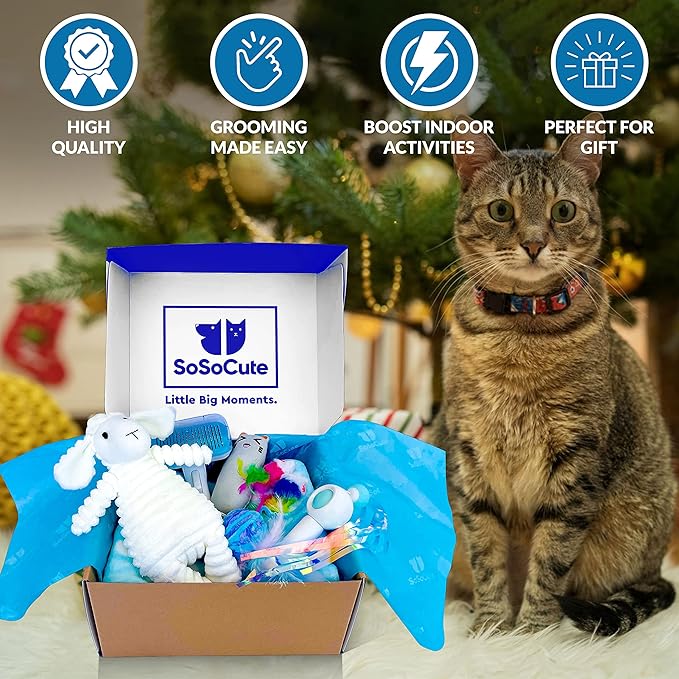 Cat Toys Welcome Blue Gift Set of 8 - Box, Catnip Kitten Toys, Cat Chew Toy, Interactive Feather and String Teaser Wand, Yarn Ball, Squeaky Toy, Cat Hair Brush and Blanket