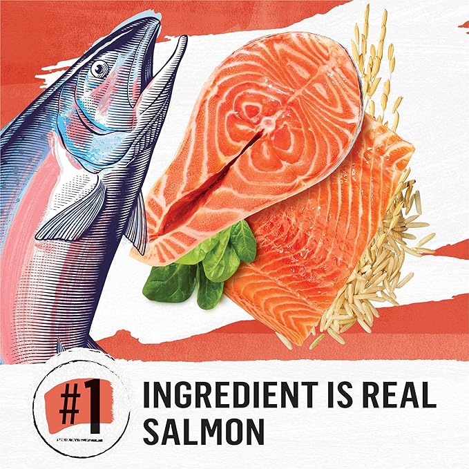 Beyond Purina Natural Wholesome Ingredients for Whole Health Dry Cat Food Salmon and Whole Brown Rice Recipe - 3 lb. Bag (Pack of 2)