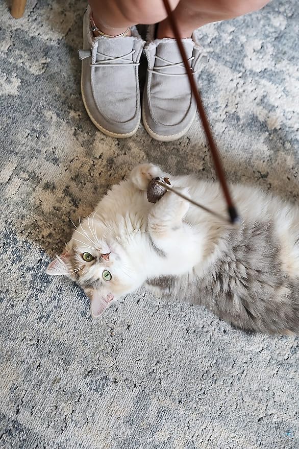 OurPets Play-N-Squeak Teathered & Feathered Play Wand Cat Toy, for All Breed Sizes