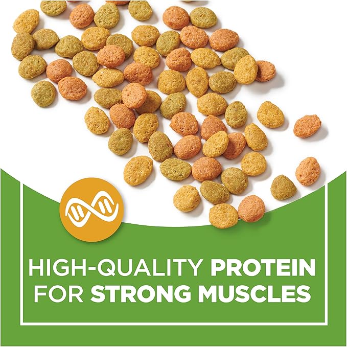 Purina Cat Chow Dry Cat Food, Indoor, 3.15 Lb Bag (Pack of 2)