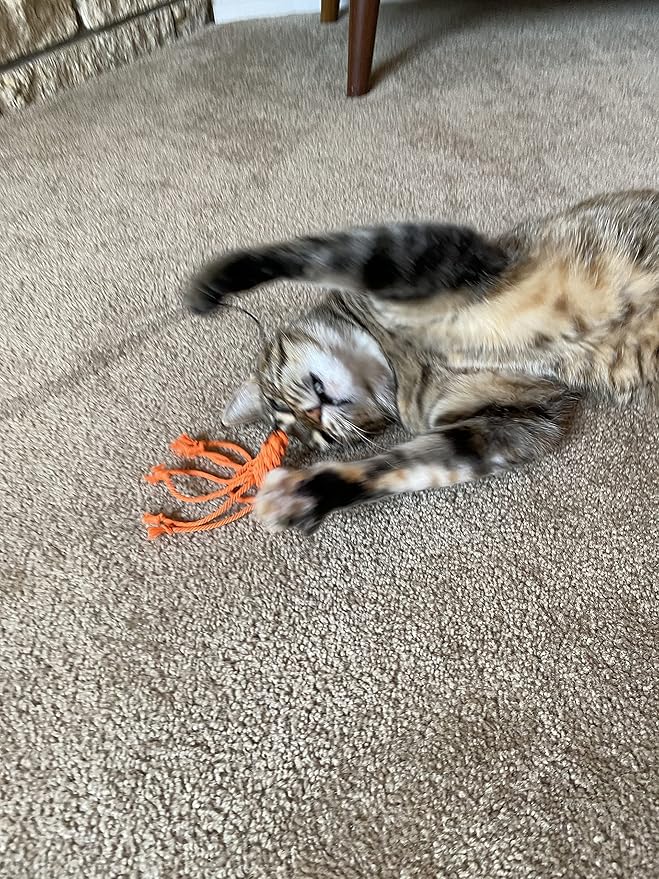 Kitty Kraken Macrame - Natural Organic Cotton Cat Toy - Birch Wood Wand - Teaser and Exerciser for Cat and Kitten - Interactive Soft Feather Mouse - Handcrafted in The USA (Orange)