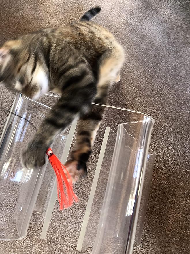 Dynamic Cat Toy | Orange with Black Stripes | Natural Birch Wood Rod Teaser and Exerciser for Cats and Kitten | Interactive Soft | Handcrafted in The USA