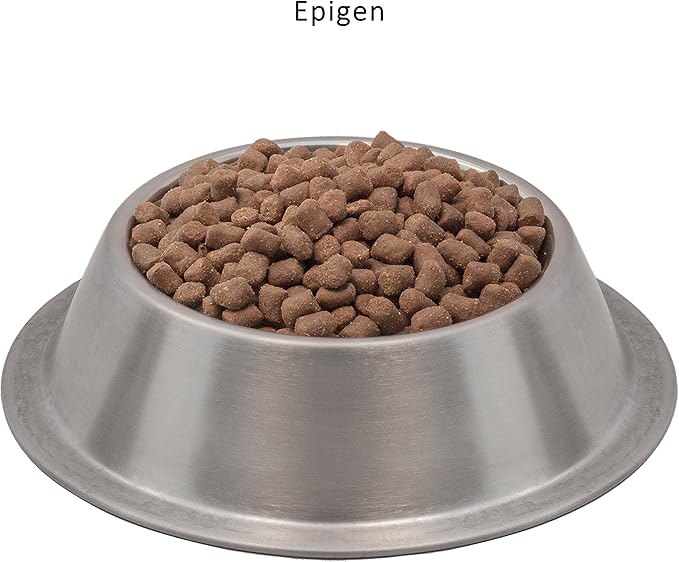 Wysong Epigen Starch Free Canine/Feline Dry Formula - Dog/Cat Food