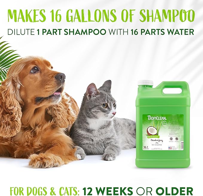 TropiClean Deodorizing Cat & Dog Shampoo for Smelly Dogs, Cats, Puppies, and Kittens, Powerful Odor Control, Coconut Scent, Made in the USA, 2.5 gallon