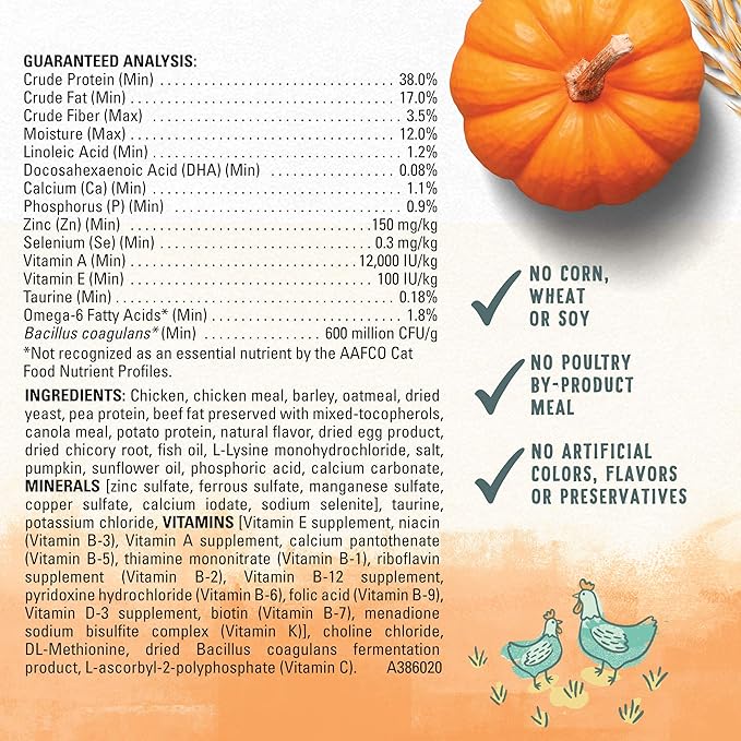 Beyond Purina High Protein, Natural Kitten Food, Kitten Chicken & Oatmeal Recipe - 3 lb. Bag