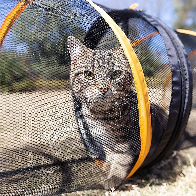 Cat Play Tunnel for Indoor and Outdoor, Cat Play House, Cat Enclosures Easy to Connect with Cat Tent with Two Zipper Doors Outside Cat Enclosure (Fun Run Cat Tunnel),Orange