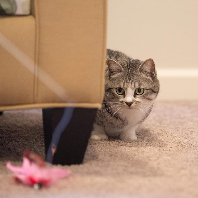 Youngever 12 Pieces Cat Toys Teasing Feather Toy, Retractable Wand with Assorted Teaser Refills, Interactive Feather Teaser Wand Toy Bell Kitten Cat Having Fun Exerciser Playing