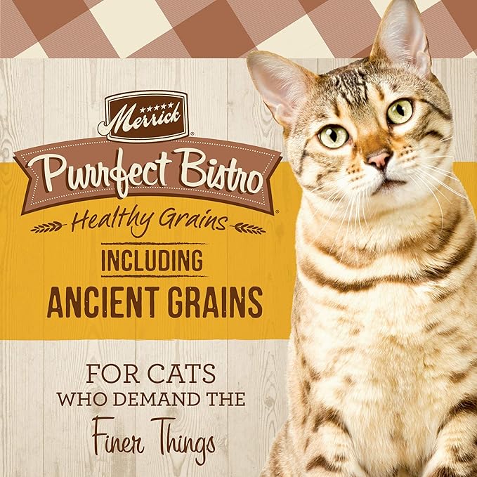 Merrick Purrfect Bistro Premium Healthy Grains Dry Cat Food For Adult Cats, Real Chicken And Brown Rice Recipe - 7.0 lb. Bag