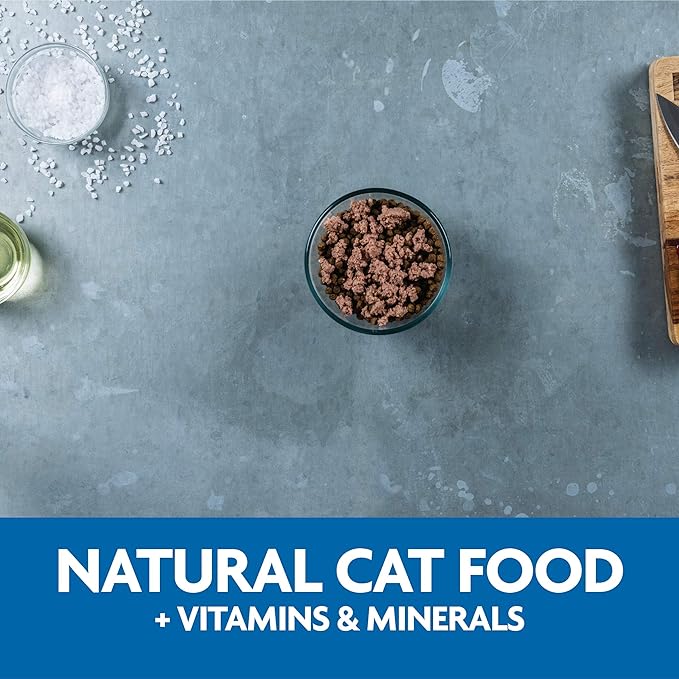 Evolve Classic Crafted Meals Chicken Recipe Cat Food (Pack of 15)