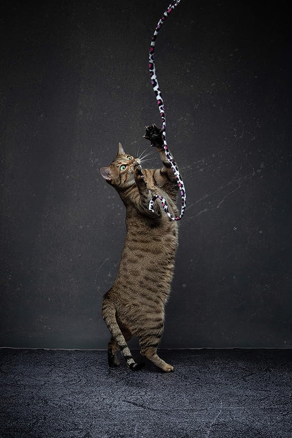 CAT DANCER Jungle Cat Wand (Pack of 2), Charmer Interactive Cat Toy, Safe Teaser Wand for Indoor Cats & Kittens, Flexible Exercise Toy Made of Multicolor Fabric Ribbon, For Medium Breeds