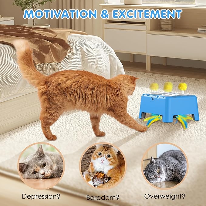 Cat Toys, 2 in1 Automatic Interactive Cat Toys for Indoor Cats, 4 Holes Mice Whack a Mole Cat Mouse Toy with Moving Feather, Rechargeable USB Power Kitten Feather Toys for All Breeds (Blue)