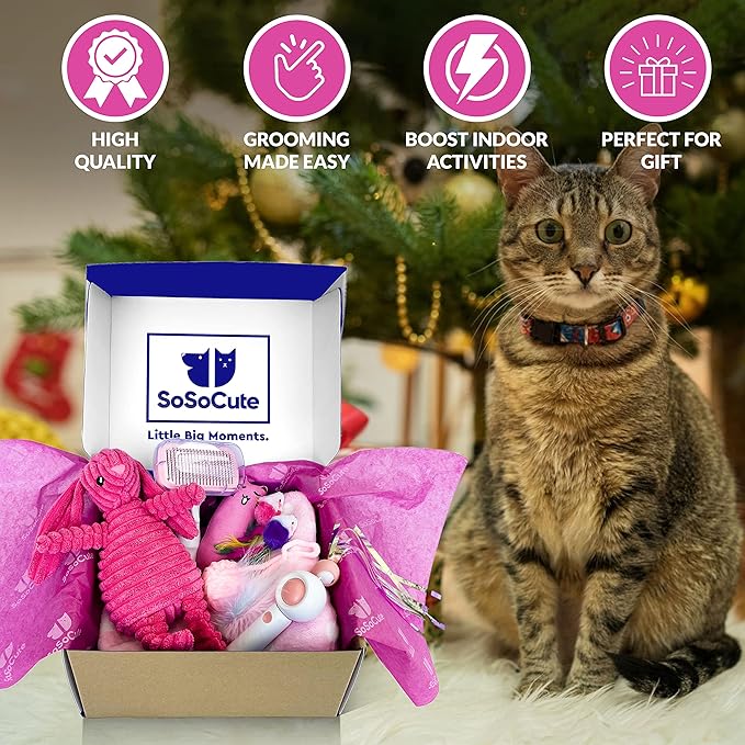Cat Welcome Gift Set - Catnip Chew Toy, Cat Feather Mouses, Interactive String Teaser Wand, Yarn Ball, Squeaky Soft Toy, Cat Hair Brush, and Ultra Soft Blanket
