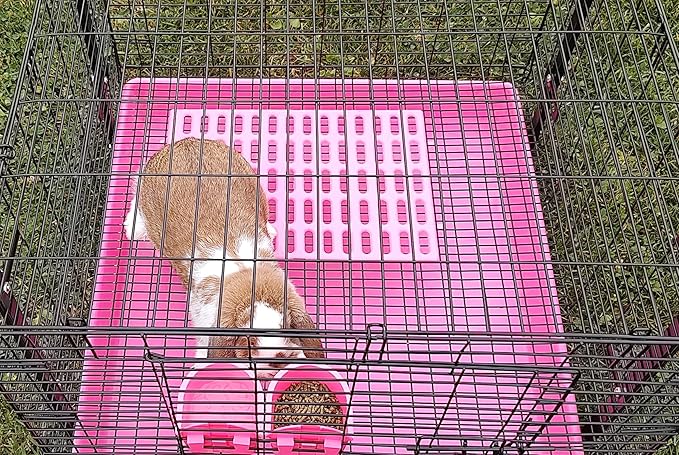 Saguaro Acres Rabbit and Small Animal Cage Resting Mat for Wire Floored Cages - Pack of 6 (Pink and Blue)