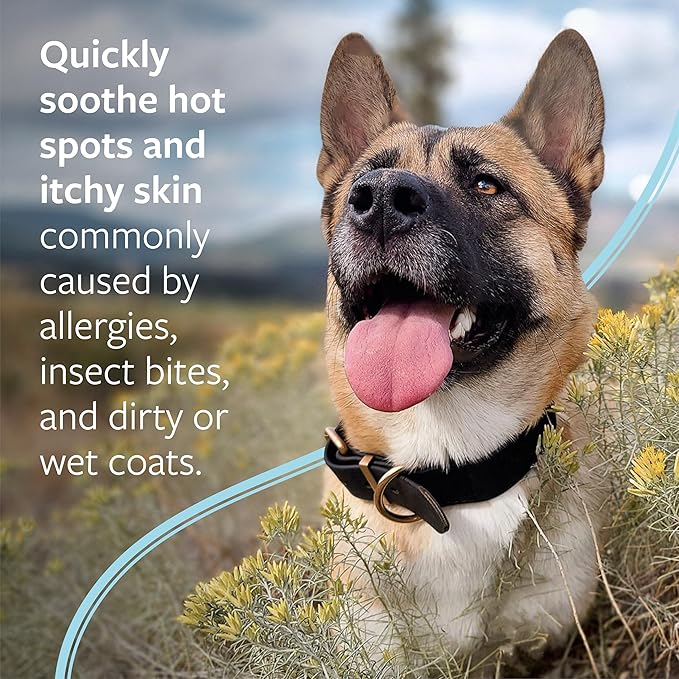 Veterinary Formula Clinical Care Hot Spot & Itch Relief Medicated Shampoo for Dogs and Cats 16 Fl Oz – Helps Alleviate Sensitive Skin, Scratching, and Licking of Coat (2 Pack)