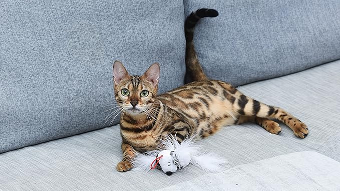 Peanuts 4” Snoopy Catnip Stuffed Plush Cat Toy with Feathers and Elastic Loop for Interactive Play Interactive Toy for Cats | Cat Exercise Toy with Feathers and Catnip (FF19707)