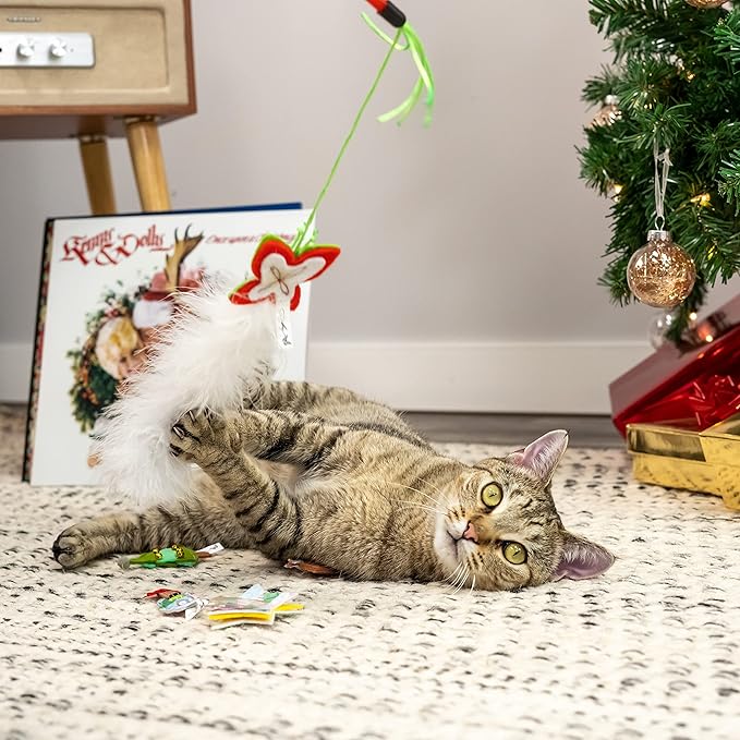 Doggy Parton 5-Piece Holiday Cat Teaser and Felt Toy Set, Red