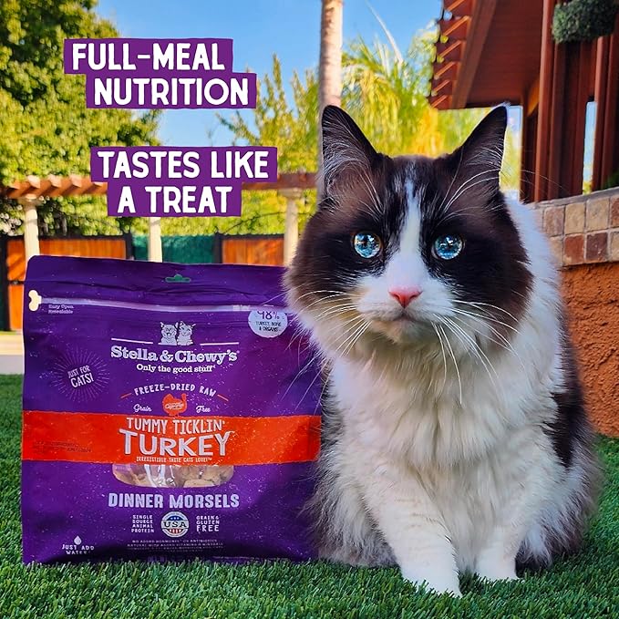 Stella & Chewy's Freeze-Dried Raw Cat Dinner Morsels – Grain Free, Protein Rich Cat & Kitten Food – Tummy Ticklin’ Turkey Recipe – 18 oz Bag