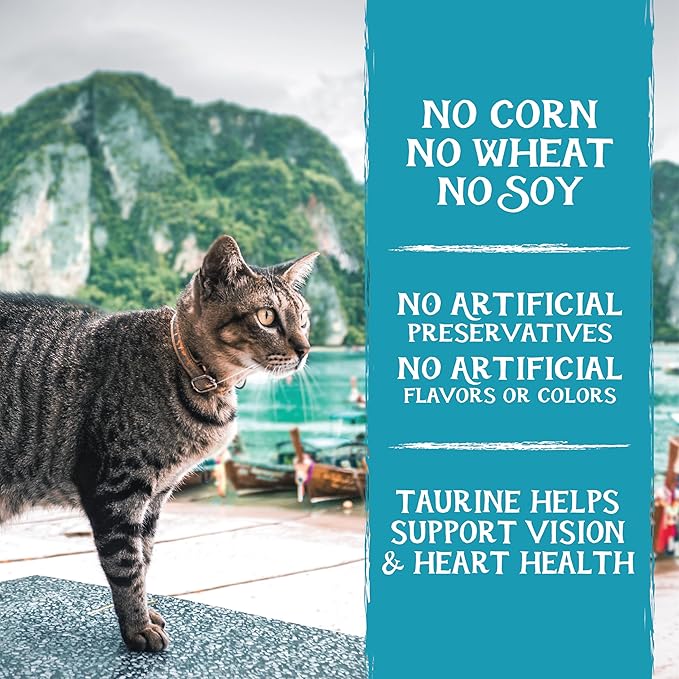 Triumph Free Spirit Grain Free Ocean Whitefish & Egg Recipe Dry Cat Food, 3lb.