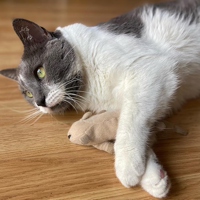 SPOT Flat Mouse Frankie with Catnip - Cat Toy, Fuzzy Mice with Catnip and Crinkle Sound, Perfect Size for Pouncing on, Chasing, Hunting - 5.5in Plush Toys, Assorted Colors