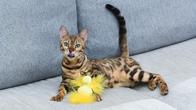4” Woodstock Catnip Stuffed Plush Cat Toy with Feathers and Elastic Loop for Interactive Play | Peanuts for Pets | Interactive Toy for Cats | Cat Exercise Toy