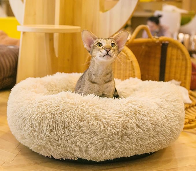 Calming Cat Beds for Indoor Cats, Anti Anxiety Round Fluffy Plush Faux Fur Cat Bed, Washable 23 inches Small Dog Bed & Cat Bed