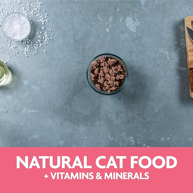 Evolve Classic Crafted Meals Salmon Recipe Cat Food (Pack of 15)