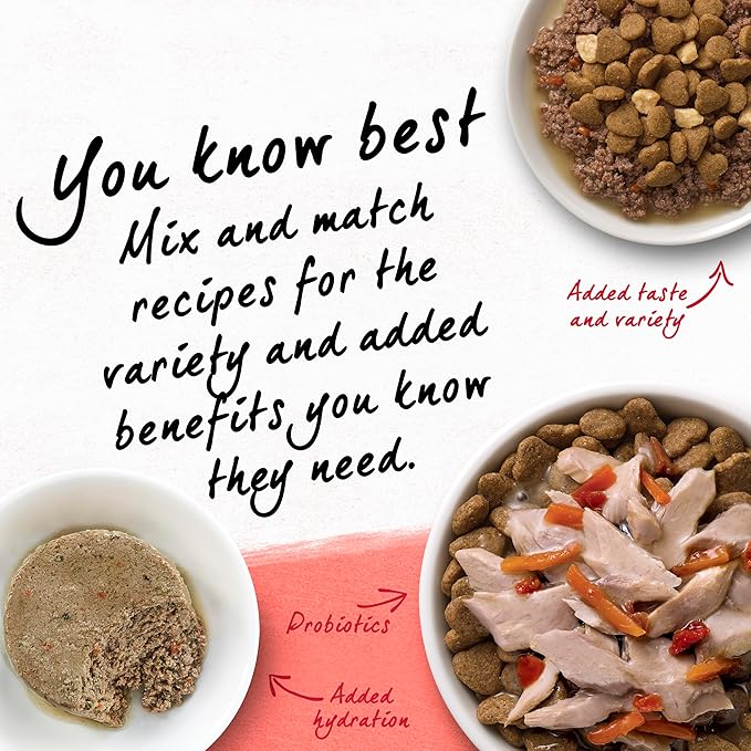 Beyond Purina Natural Wholesome Ingredients for Whole Health Dry Cat Food Salmon and Whole Brown Rice Recipe - 3 lb. Bag (Pack of 2)