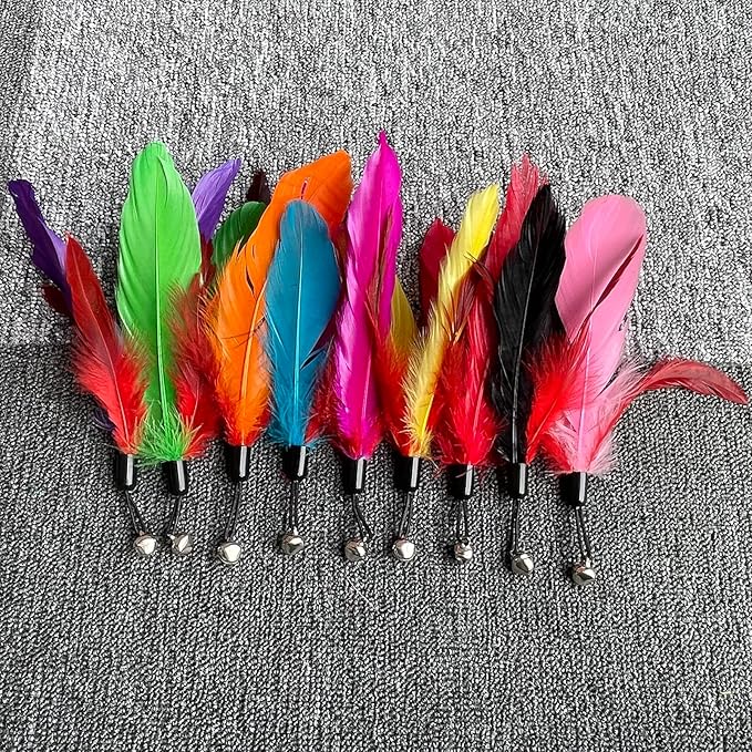 Cat Toys Kitten Toys, Interactive Cat Toy 1pcs Cat Wand Toy & 9pcs Natural Cat Feather Teaser Toys Refills, Cat Fishing Pole Toy for Indoor Cats Gifts, Kitty Toys for Indoor (9Pcs A)