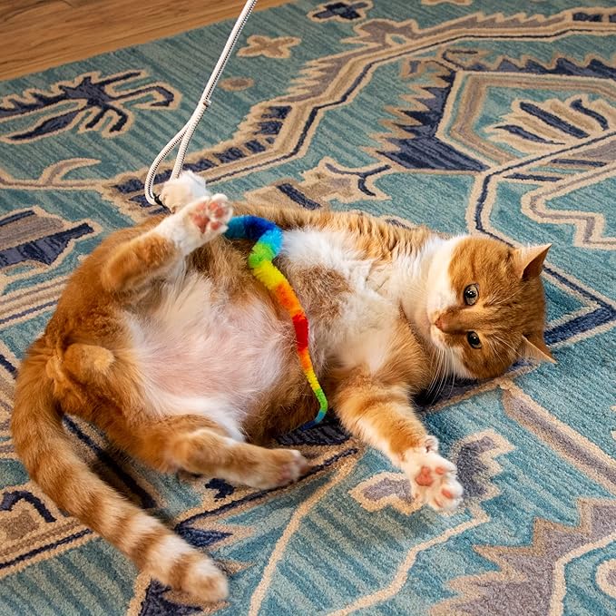 Tough Teaser Interactive Chase Exercise Wand Toy with 2 Lures for Indoor and Outdoor Cats and Kittens