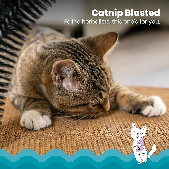 Catstages Scratch & Groom Corrugated Cat Scratch Pad with Catnip