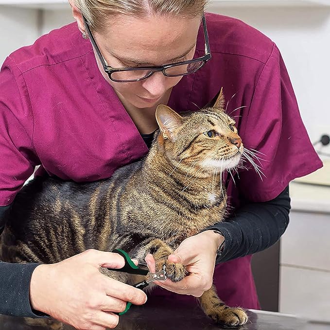 Candure Cat Nail Clippers for Indoor Cats, Rabbits, Hamsters, Birds with Precise Angled Edges to Ensure Easy & Safe Trimming Stainless Steel Cat Nail Trimmer for at-Home Cat Grooming