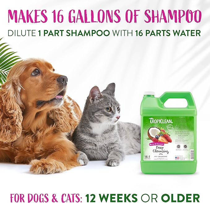 TropiClean Deodorizing Cat & Dog Shampoo for Smelly Pets, Puppy & Kitten Safe, Long Lasting Odor Control, Berry Scent, Made in the USA, 1 gallon