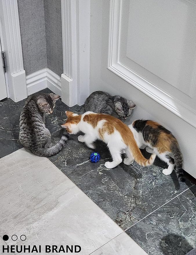 Kitten Toys, 31 Pcs Kitten Toy Pack for Indoor Kittens, Interactive Small Cat Toys to Keep Them Happy & Entertained