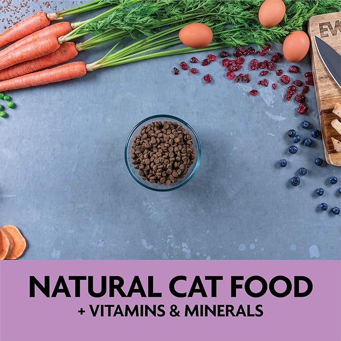 Evolve Grain Free Chicken, Pea and Sweet Potato Recipe for Kittens, 2.75lb